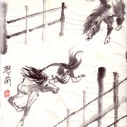 Ch-89-mini_horses_card