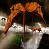 Olhares455_thumb