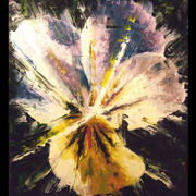 Even_the_most_delicate_flower_has_a_temper_card