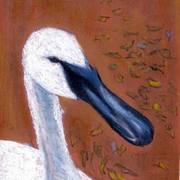 Goose_card