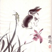 Ch-113-mini_rabbit___orchid_card