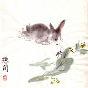 Ch-115-mini_rabbit___bug_card