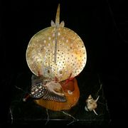 Gawangalkmarii_card