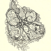 Doodles5_card