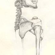 Skeleton_card