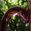 Fa640_195_thumb