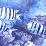 Aquarium_card