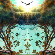 Freeasabird_card