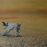 Dog_digging_07_card