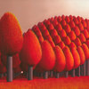 Populus_flucta_thumb