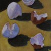 006_thumb