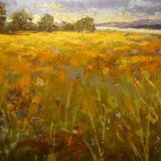 Juin2008_7_30x36_card