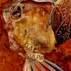 303-alchemy_of_carmen__moon_thumb