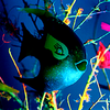 Bottle_fish_300psi24x36best_use_thumb