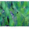 Dense_dance_2008_thumb