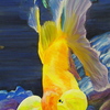 Fish_thumb