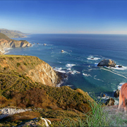 907-oceanside_wild_card
