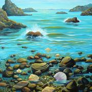 Coromandel_shore_card