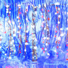 Forest_alexandr_a_little_lab_thumb