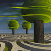 Tilia_arbora_thumb