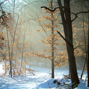 100_0055_card