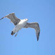 P1010089_card