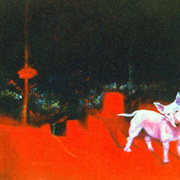 Redscape_card