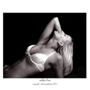 Whitebra_card