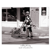 Walkingthedog_card
