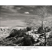 Painteddesert_card