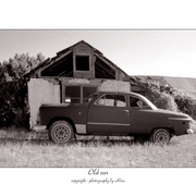 Oldcar_card