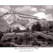 Zion4_card