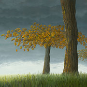 Quercus_corymbion_card