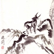 Ch-128-mini_goat_left_turn_card