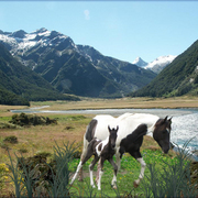 910-pristine_valley_card