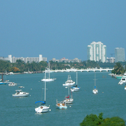 Miami_sails_card