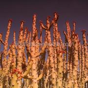 Img_6534_klein_card
