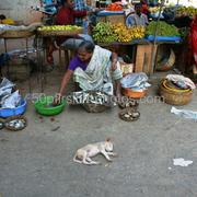 Img_6180_klein_card
