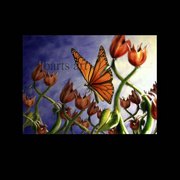 Butterfly_flower_card