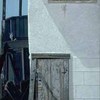Cat_lg_thumb