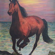 100_1464_corriendo_en_la_orilla_zaino_3_card