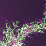 Spores-satisfaction_card