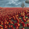 Malus_arvum_thumb