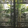 Banana_plant_and_bamboo_16x20_thumb