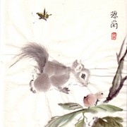 Ch--107-mini_squirrel___peach_card