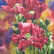 Red_popies_20x24_card