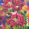 Red_popies_20x24_thumb