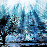 Nightdreams_card