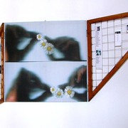 6_card