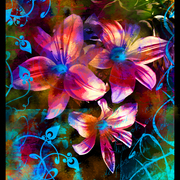 Daydream_card